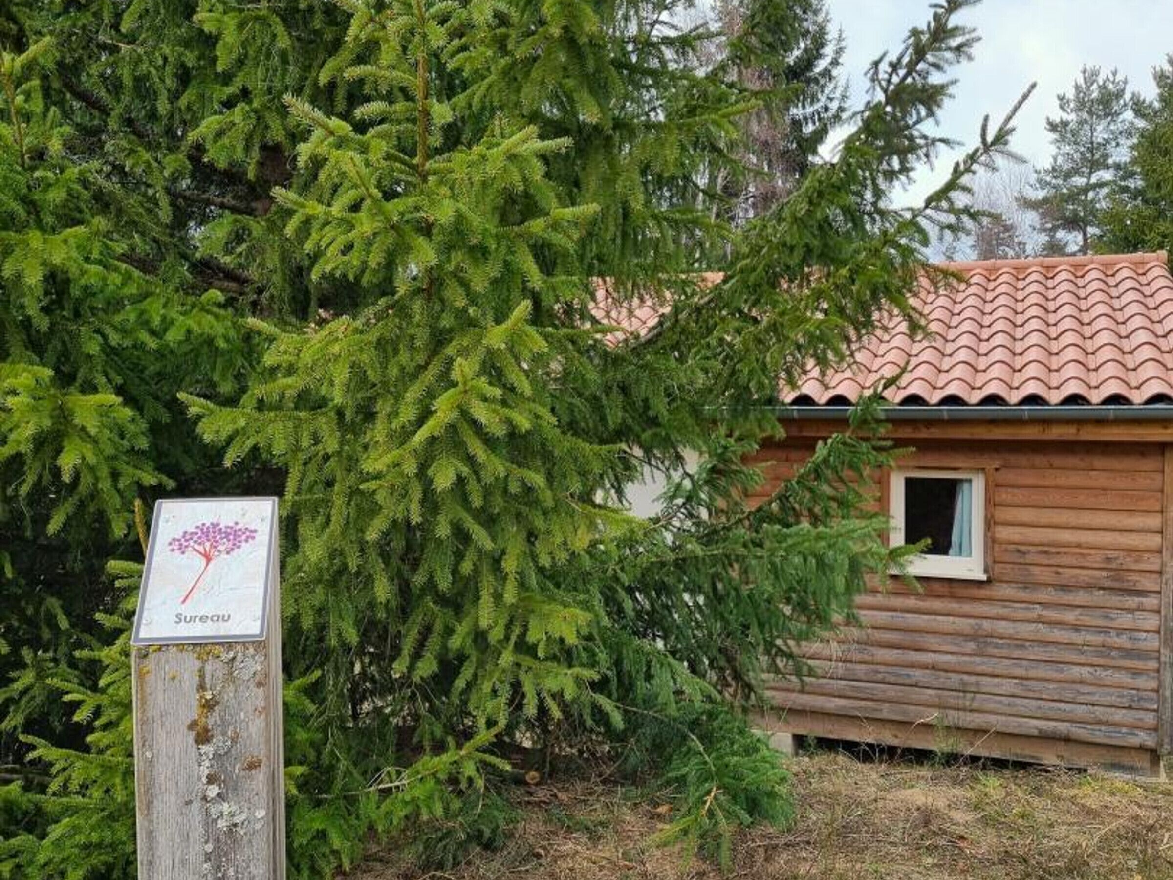 Een houten hut met pannendak, omringd door weelderige groene beplanting.