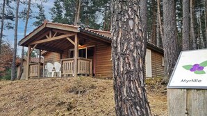 Una baita di legno con veranda, circondata da alberi alti.