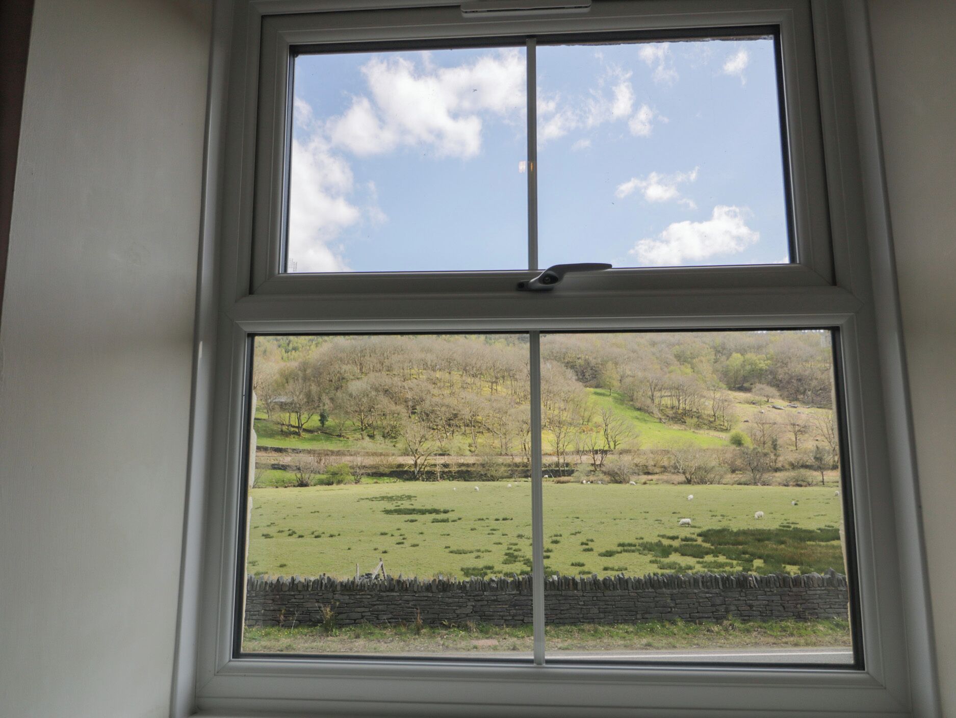 A window with a view of a green field and trees.