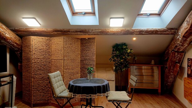 Ein Schlafzimmer im Loft-Stil mit hohen Decken, freiliegenden Holzbalken, einem runden Tisch mit zwei Stühlen, einer Topfpflanze und einem Bett.