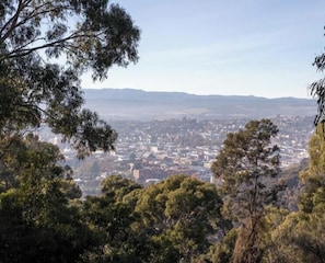 A panoramic view of a city from a high vantage point, surrounded by dense foliage.