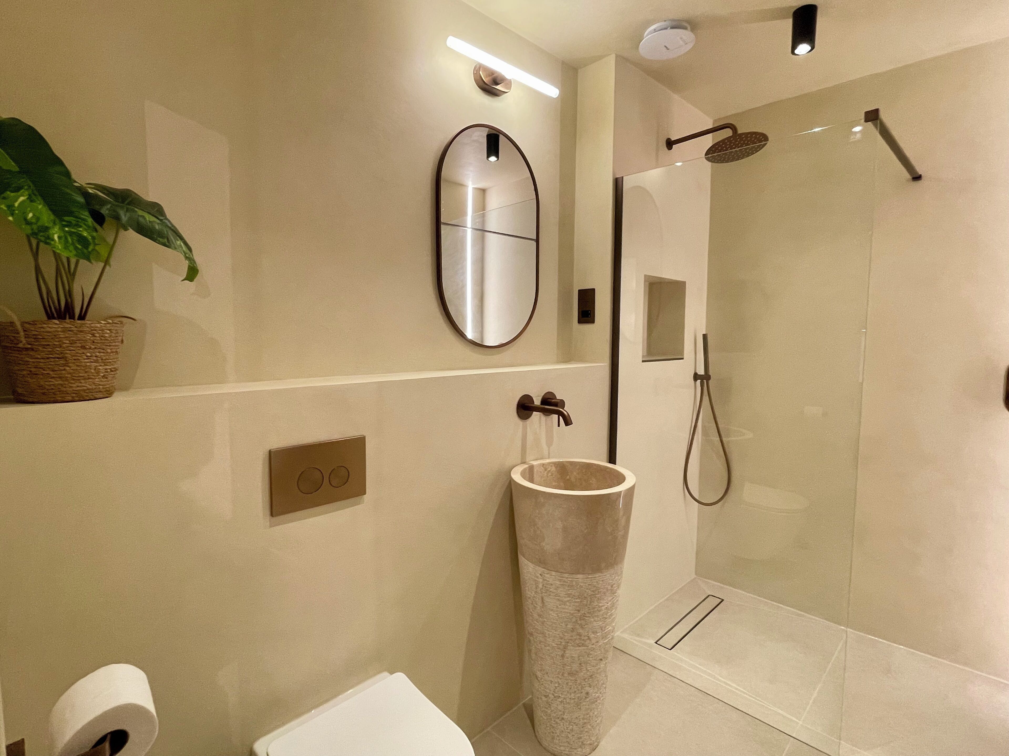 Shower, hair dryer, soap, toilet paper