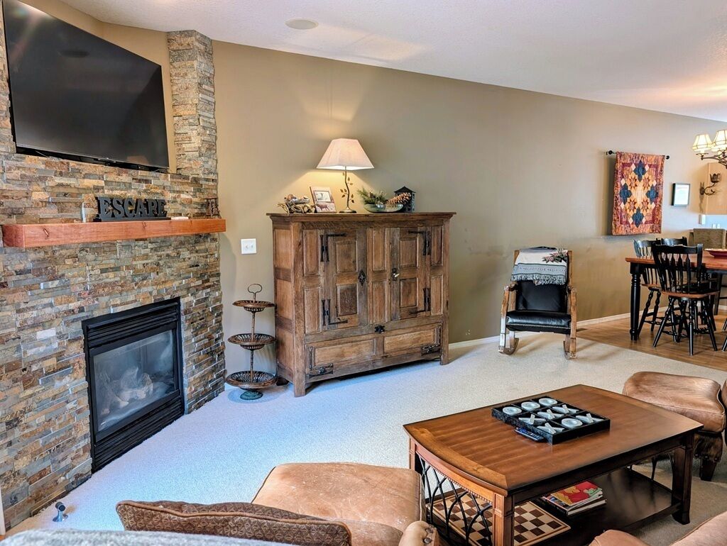 TV, fireplace, video games, DVD player
