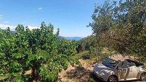 Um carro conversível estacionado em um vinhedo, com vista clara para o mar ao fundo.