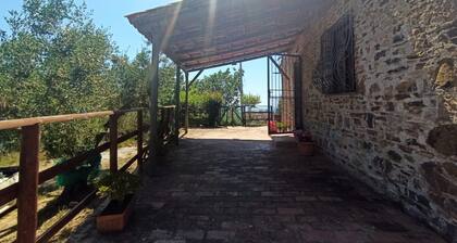 Villa surrounded by greenery 3km from the sea, guaranteed relaxation, pets allowed
