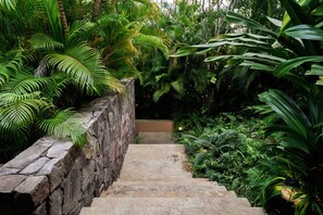 House - Villa Aire in Punta Mita (Punta de Mita)