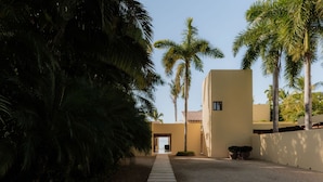 Un sentier menant à un bâtiment d’où l’on a une vue dégagée sur l’océan, le tout étant entouré de palmiers et d’un chemin de gravier.