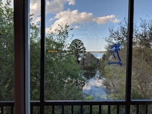 Vista pela janela com logotipo de palmeira, folhagem densa e um corpo d'água calmo.
