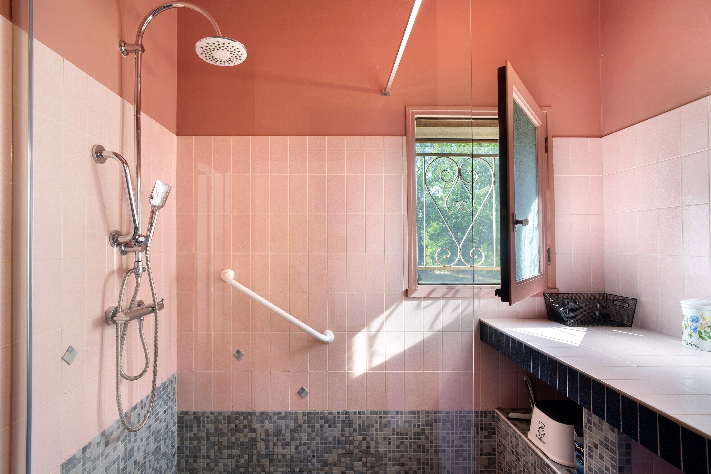 Shower, hair dryer