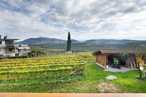 A vineyard with rows of grapevines, a wooden building, and mountains in the background. - Apartment 'Weingut Hochleiten Latemar' with Mountain View, Balcony and Wi-Fi (Pianizza di Sopra)