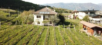Apartment 'Weingut Hochleiten Latemar' with Mountain View, Balcony and Wi-Fi