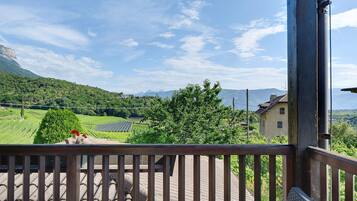 A balcony with a view of a vineyard, a mountain, and a house in the background.