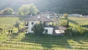 Uma casa rodeada por fileiras de vinhas, com montanhas ao fundo.