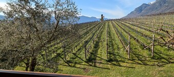 Apartamento 'Weingut Hochleiten' con vistas a la montaña, balcón y Wi-Fi
