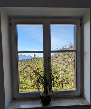Interior - Apartment 'Weingut Hochleiten' with Mountain View, Balcony and Wi-Fi (Pianizza di Sopra)
