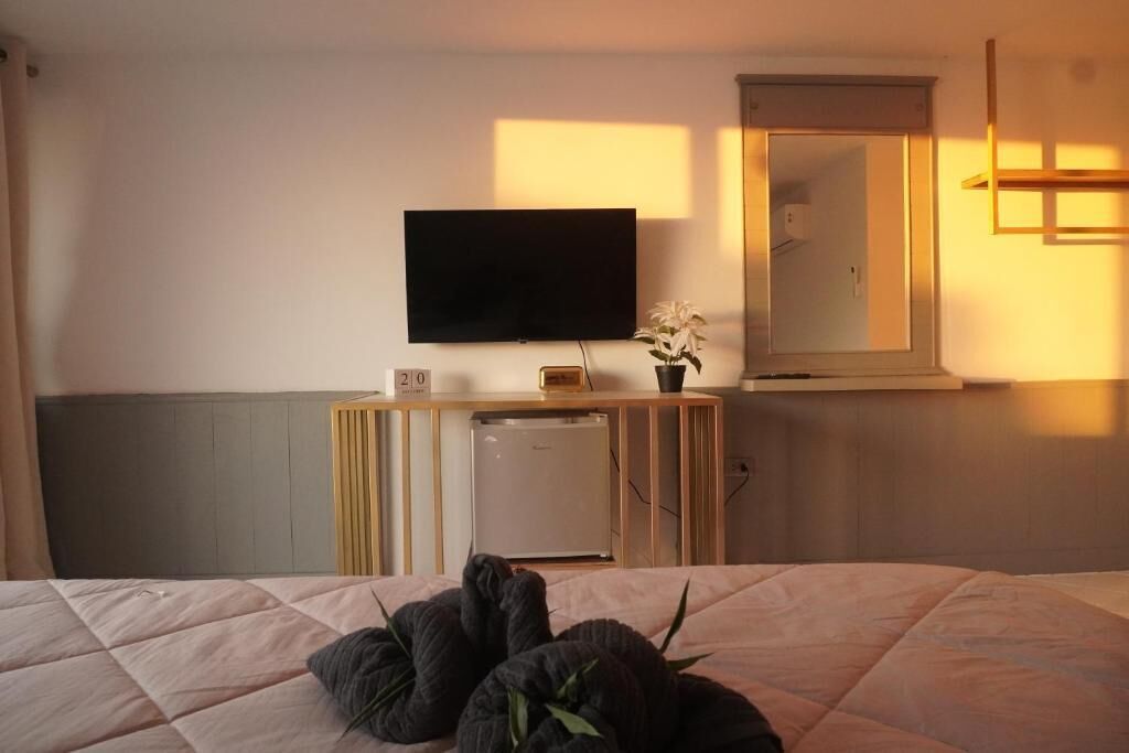 A hotel room with a bed, a television, a small refrigerator, a bedside table with a plant, and a mirror.