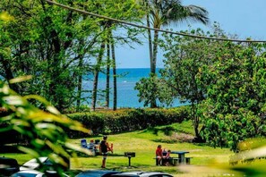 Property grounds - 2nd floor, updated studio, across from the beach! - Kihei Bay Surf A207 (Kihei)