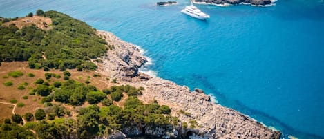 Σπίτι | 1 υπνοδωμάτιο