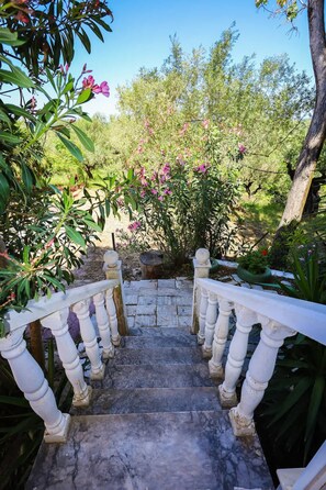 A stone staircase with white balustrades leading to a garden area with various plants and flowers.