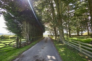 Uma estrada rural ladeada por árvores e cercas, conduzindo a um portão.