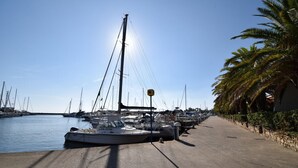 Ein Yachthafen mit vertäuten Booten, wolkenloser Himmel und einer Promenade gesäumt von Palmen.