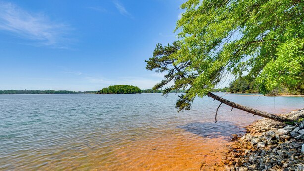 A clear lake with a rocky shoreline and a tree branch overhanging the water. - 6 Mi to South Cove Boat Ramp! Lake Keowee Escape (Seneca)