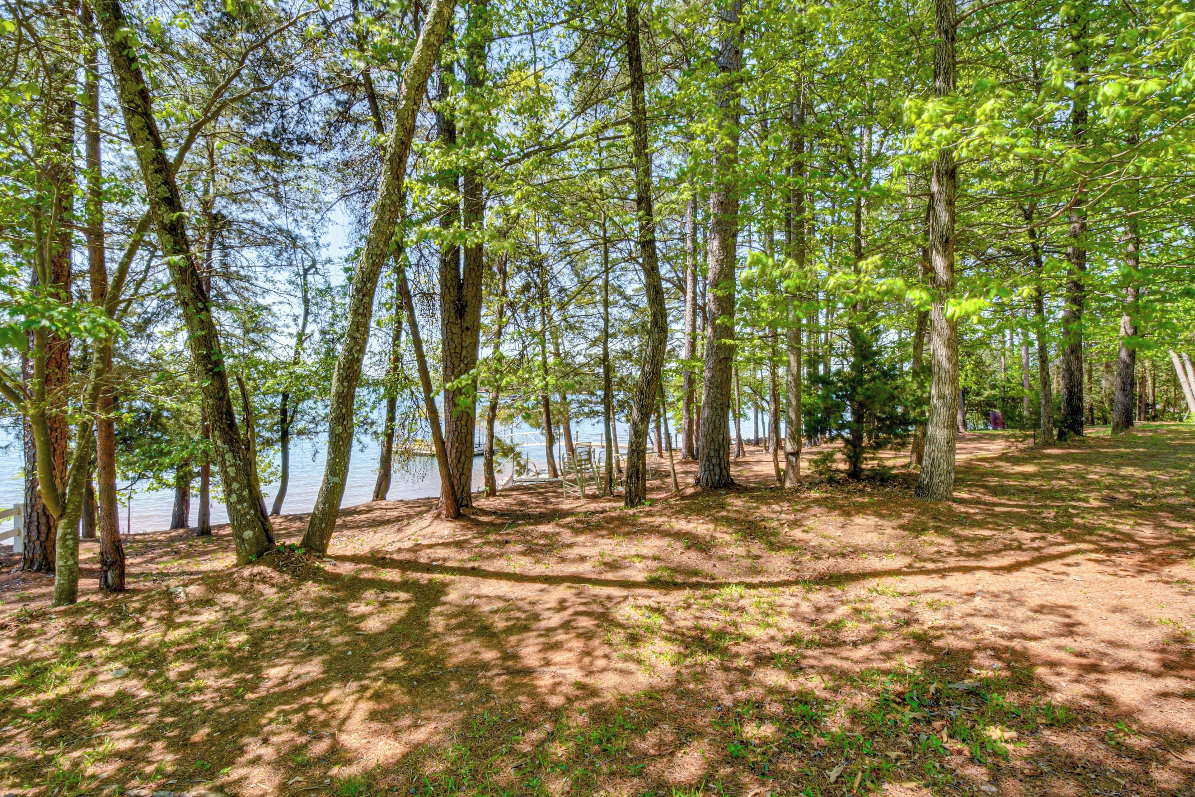 A forested area with trees and a lake.