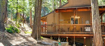 Dog-friendly Cabin 3 Mi to Big Trees State Park!