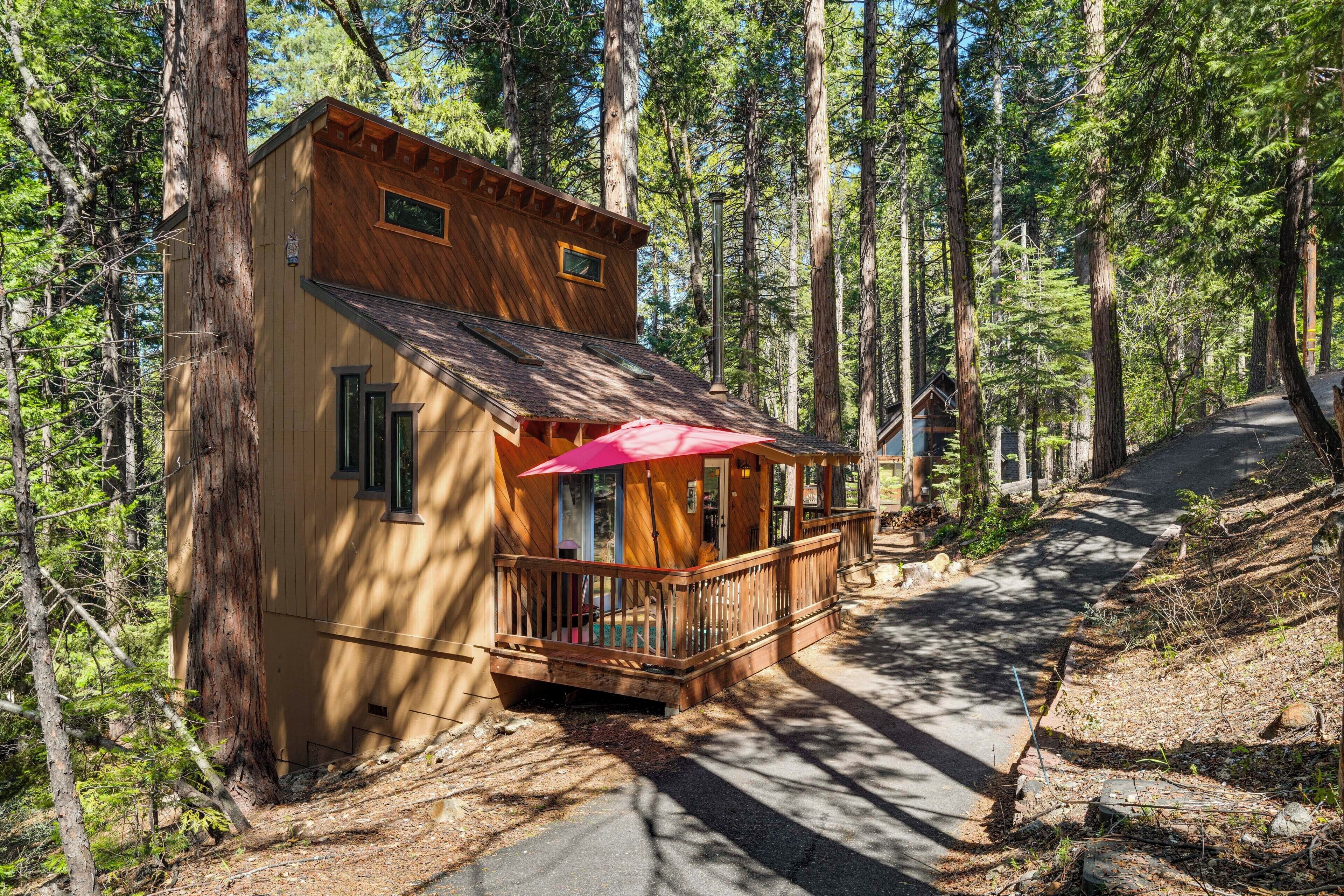 A wooden cabin with a porch, surrounded by tall trees.