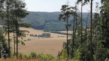 A rural landscape with a field, trees, and a hill in the background.