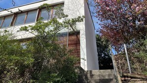 Un edifici modern amb grans finestres, façana blanca i un arbre amb flors rosades al fons.