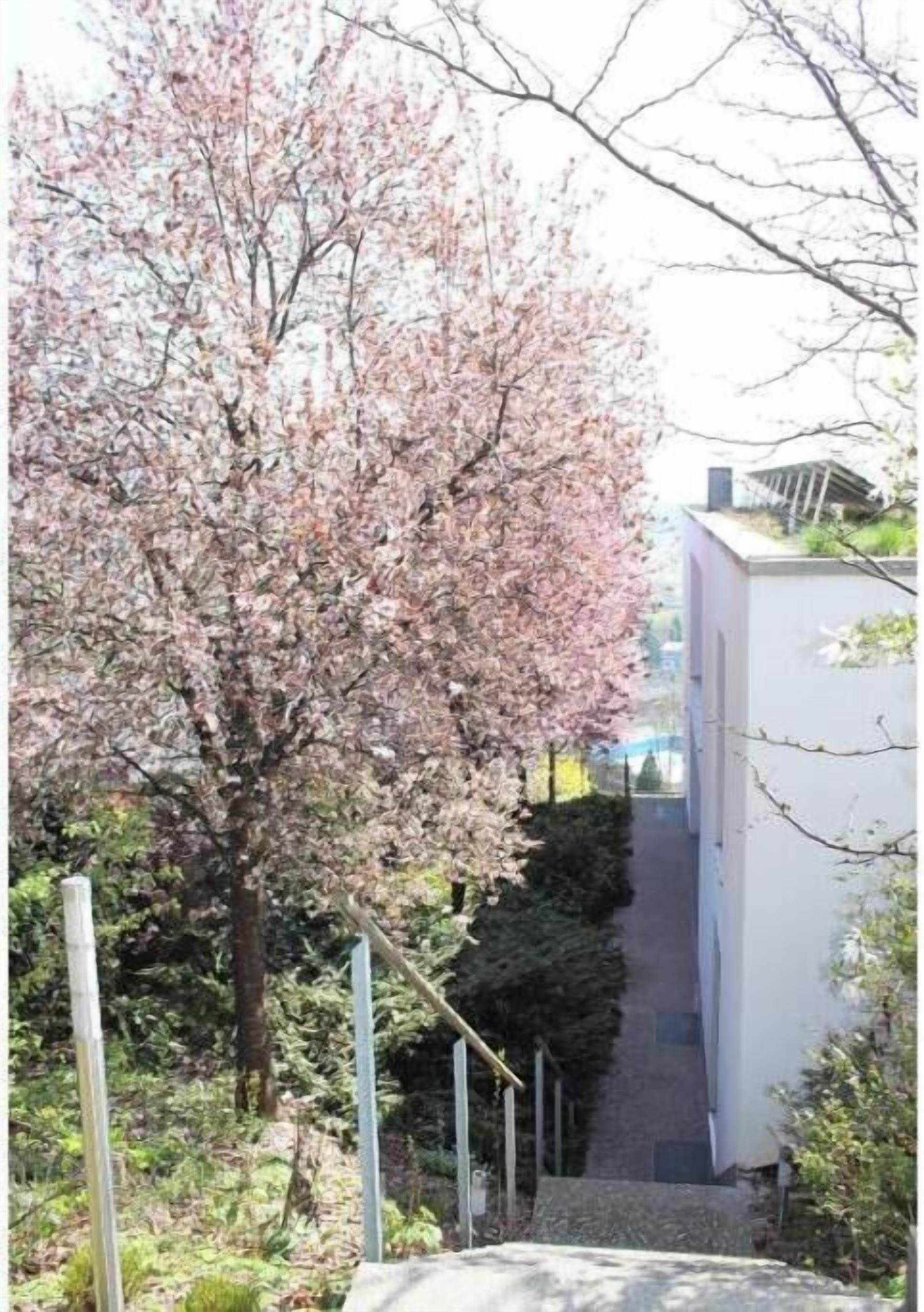 Unterkunftsgelände