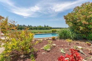 Piscina cercada por um jardim com diversas plantas e um pérgola.