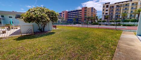 A residential area with a tree, a fenced yard, and apartment buildings in the background.