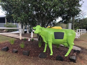 Área da propriedade