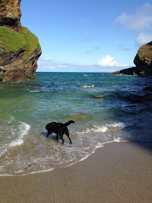 Beach nearby - Ocean Front top floor apartment, with far-reaching views. Sleeps 4. (Newquay)