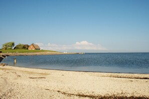 Ein Strand mit einem Haus und einem Steg.