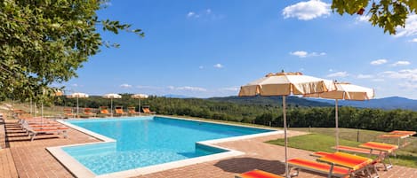 Una piscina con sillas de descanso y sombrillas, rodeada de vegetación y un cielo despejado.