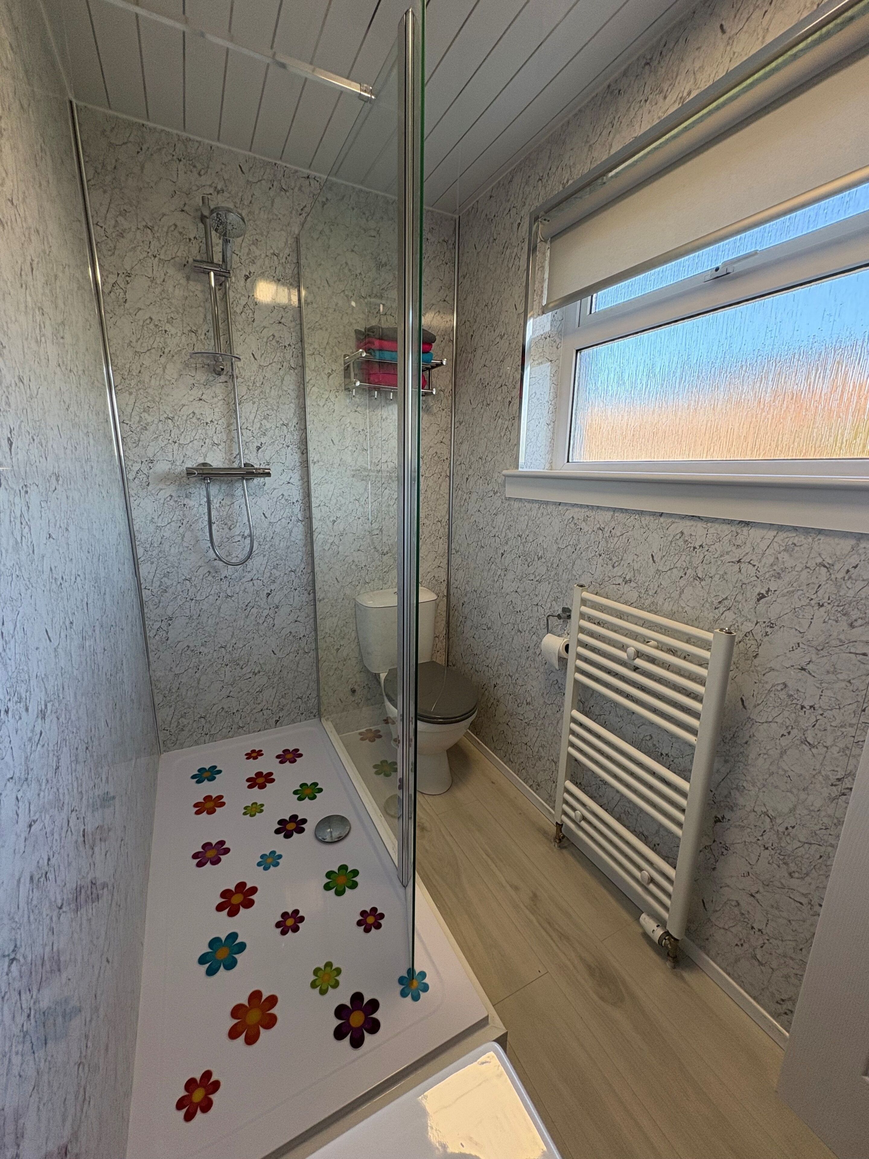 Shower, hair dryer