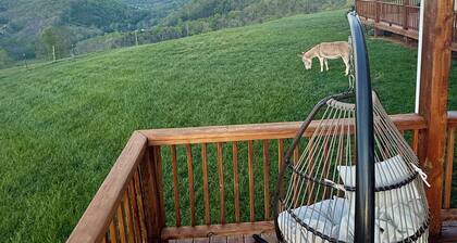 360° Mountain Views!
1 mile off 77, Pride’s Mountain Guest House and Farm Stay