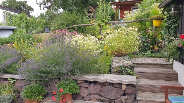 Un jardin agrémenté de diverses plantes et fleurs, une terrasse en bois et un mur en pierre.