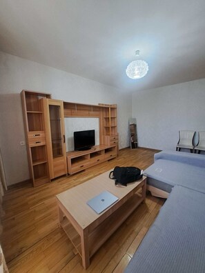 Living area - Adorable 1-bedroom apartment in Ulaanbaatar perfect for your stay (Ulaanbaatar)