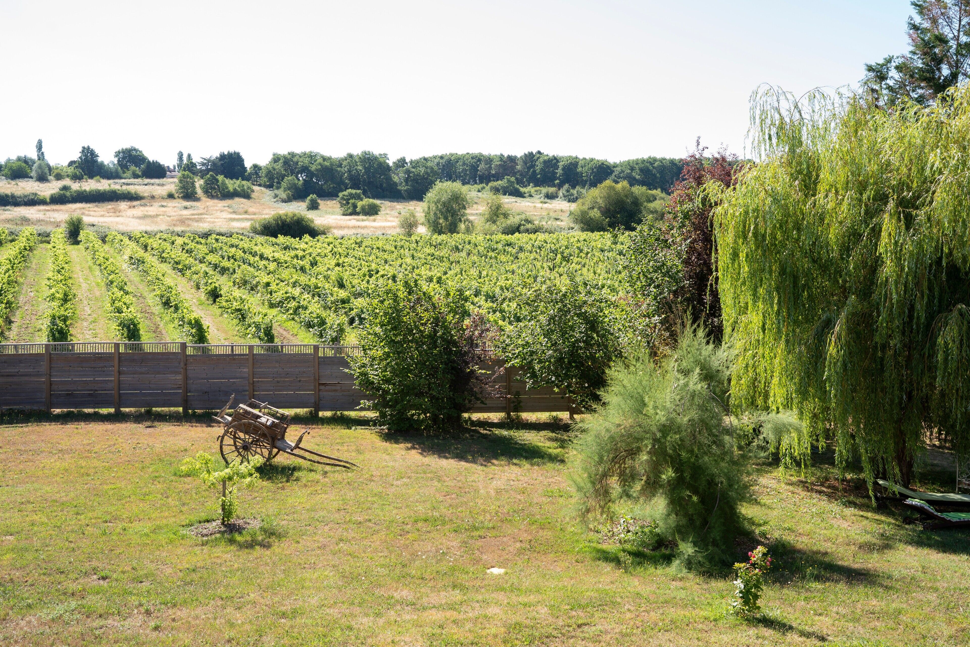 Parco della struttura