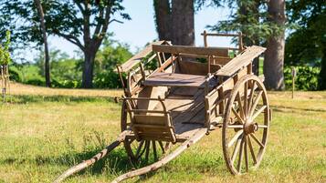 Ein alter, hölzerner Wagen mit großen Rädern, der auf einer grünen Wiese mit Bäumen im Hintergrund steht.