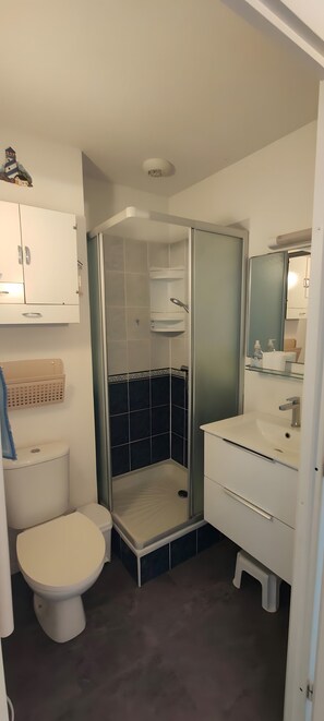 A bathroom with a toilet, a shower enclosure, a sink, and a cabinet. - Holiday Home for 6, 100 m from the Sea, Sea View, Shared Pool! (Bretignolles-sur-Mer)