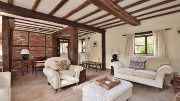 Smart TV, fireplace, DVD player, books