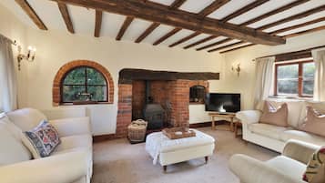 Smart TV, fireplace, DVD player, books