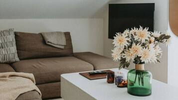 Televisio, stereot