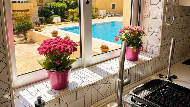 Une cuisine donnant sur une piscine, avec un évier et des plantes en pot.