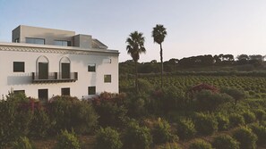 Un bâtiment moderne doté d’un balcon, entouré d’un jardin luxuriant et de palmiers.
